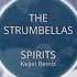 The Strumbellas Spirits Keljet Remix