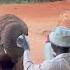 Adine Visits The Elephant Orphans At Sheldrick Wildlife Trust In Kenya