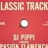 DJ Pippi Presents Pasion Flamenca Fatal Fatal Rawtal Mix