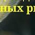 Нарушение координации движения у аквариумных рыб Малавийские цихлиды