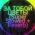 ЗА ТОБОЙ ЦВЕТЫ Super Slowed Reverb