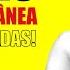 Super Coletânea De Piadas Duas Horas De Piadas 1 As Melhores Piadas Animadas Em 3D Do Youtube