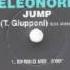 Eleonore Jump Spring Mix