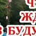 Каких перемен ждать в личной жизни Какой мужчина на пороге Чем сердце успокоится ТАРО ГАДАНИЕ