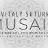 Vitaly Shturm Musaic Original Mix