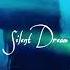 Mzade Silent Dream Original Mix