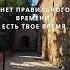 Не откладывай на завтра то что можно сделать сегодня Мотивация послание мудрость истина