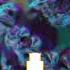 Excision Virus