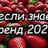 Танцуй если знаешь этот тренд 2024