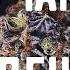 Что такое Терпены Weed Empire