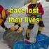 RISK And EXPENSE On EVEREST To Remove Perished Climbers Short Everest Survival