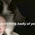 Paramore I M Not Angry Anymore Sped Up