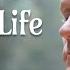 A Buddhist Monk S Life Original Buddhist Documentary