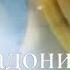 ОНИ сегодня у ворот нас ждут Радоница 2023 Памяти детей
