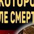 Физик Открыл Невообразимое Владимир Ефремов о Существовании Жизни После Смерти