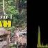 Dean Fraser Loving JAH Instrumental Official Audio