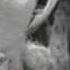 Ann Pennington Dances From 1929