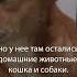 Спастись самим и спасти животных Shorts