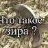 Что такое зира для плова