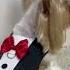 Tuxedo For Dogs And Cats PDF Sewing Patternt Diycrafts Cutedog Sewing Cristmas