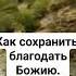 признак здоровой души Силуан Афонский святыеотцы христианство благодать смирение Shorts