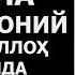 ДОМЛА ҲИНДИСТОНИЙ ҲАҚЛАРИДА АБРОР МУХТОР АЛИЙ ДОМЛА