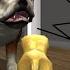 Playing Cat Simulator 2015 Time Challenge But THE DOG IS CHASING ME