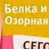 Белка и Стрелка путешественницы по анонсам Карусели