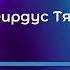 Фирдус Тямаев Ялгыз торна Татарча караоке