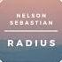 NELSON SEBASTIAN RADIUS ORIGINAL MIX