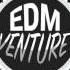 Hardwell Feat Chris Jones Young Again Sound Energizer Remix EDM Venture