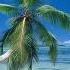 Basic Element I Ll Never Let You Know Dj Obelix Radio Remix