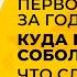Соболев Илья вернулся в YOUTUBE Щербаков украл формат про заборы
