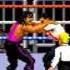 WWF Royal Rumble Sega Genesis By Sting