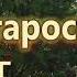 Старость Стихи Ларисы Рубальской По другим версиям Людмилы Тихомцевой Галины Щелкинской и др