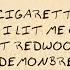 Morgan Wallen 20 Cigarettes Lyric Video
