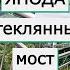 ЯНОДА ПАРК Стеклянный мост Тропический лес в КИТАЕ остров Хайнань Санья Yanoda Rainforest