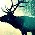 Amadea Music Productions The Hunt World Soundtrack Exotic Emotional