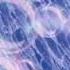 Violet Beauregarde S Blueberry Inflation Bubble Party