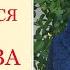 Вам НЕ понадобятся лекарства и врачи Иммунолог Петросян о работе человеческого организма Петросян