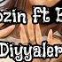 Aydayozin Ft Bilyanm Diyyaler