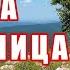 Чабрец Душица Железница Полезные свойства и где растет Крымские травы