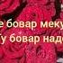 Ишкнома Навиштачотхои Тилои ва суханхои Бехтарин Дар бораи Ишк Садои Мухаммад Ховалинг Обидара