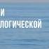 Разговоры о жизни с социально технологической точки зрения часть 2