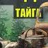 АВТОМОБИЛЬ для АТАМАНА БУДЕ ПОПАДАНЦЫ 3 ФАНТАСТИКА ДОМ в ЛЕСУ ИСТОРИИ из ЖИЗНИ АУДИОКНИГА СЕРИАЛ 17