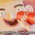 El ORIGEN De La COCACOLA