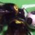 Bees Learn How To Play Soccer Daily Planet