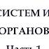 Психосоматика систем и органов Часть 1 Головные боли болезни глаз губ болят зубы сердце