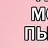 Какой вертикальный моющий пылесос выбрать в 2024 Лучшие модели