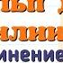 Краткий пересказ 11 От Альп до Сицилии Объединение Италии Всеобщая История 9 класс Юдовская